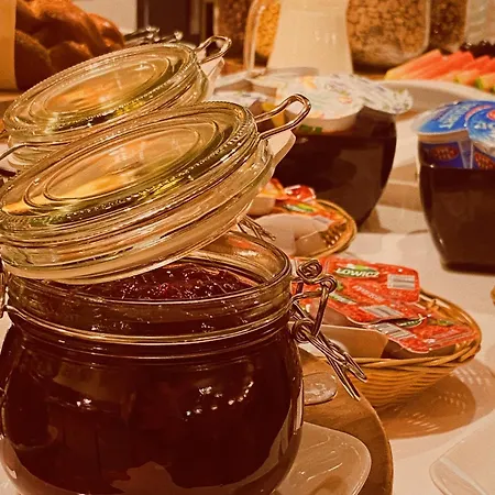 Borowiecki Hotel Lodž