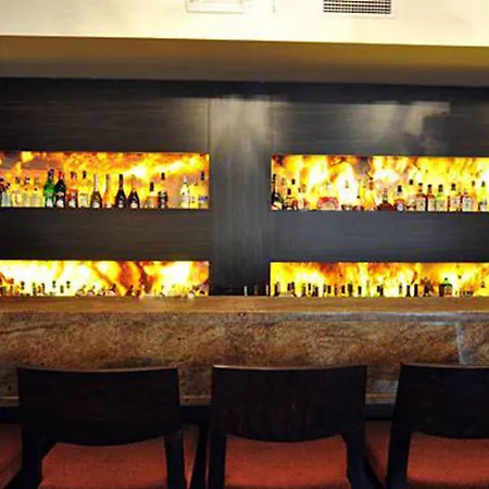 Borowiecki Hotel Lodz (Lodz)