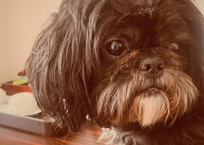 Hotel Borowiecki Łódź